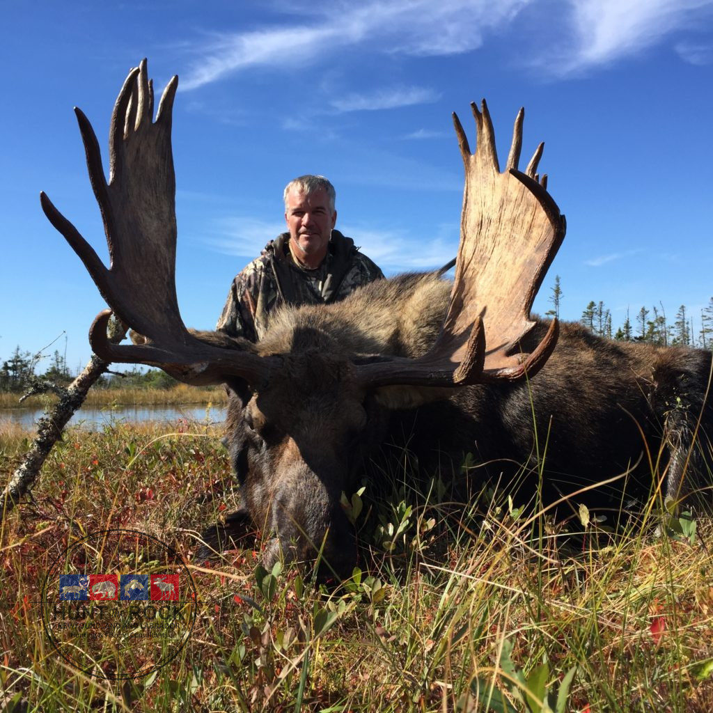 Newfoundland Moose Hunting Outfitter