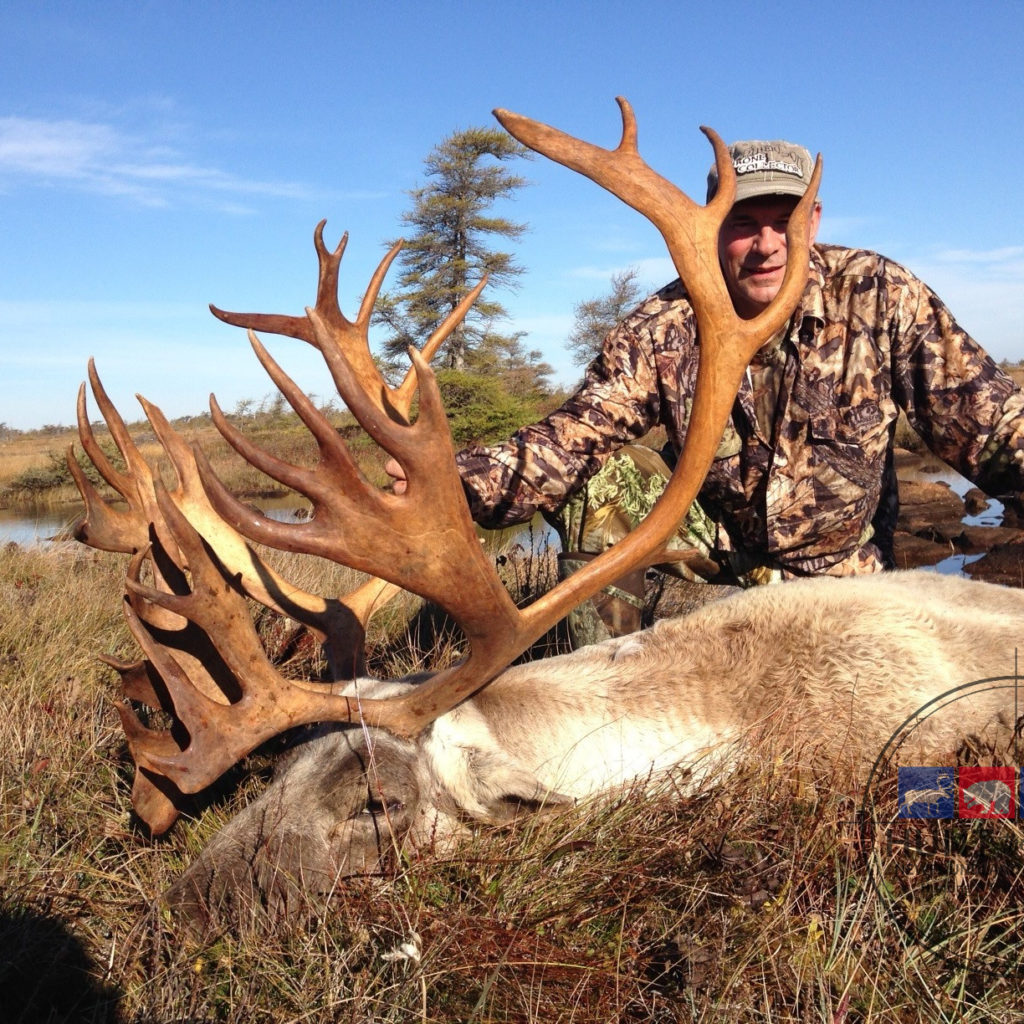 Newfoundland Caribou Hunting - Trophy Woodland Caribou