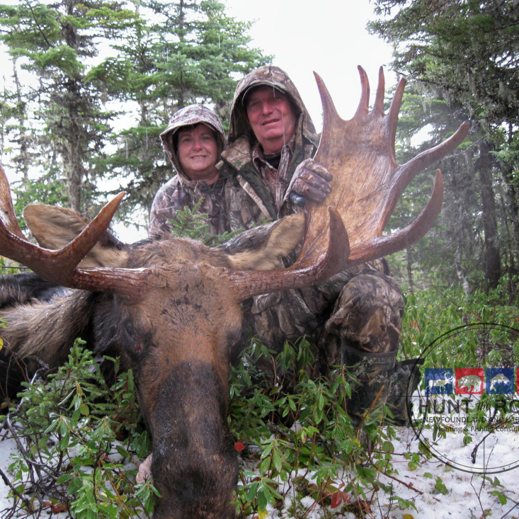 Newfoundland Moose Hunting Outfitter