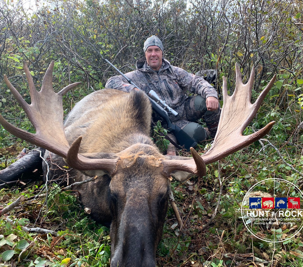 Newfoundland Moose Hunting Outfitter