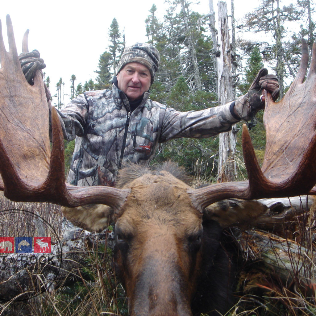 Newfoundland Moose Hunting Outfitter