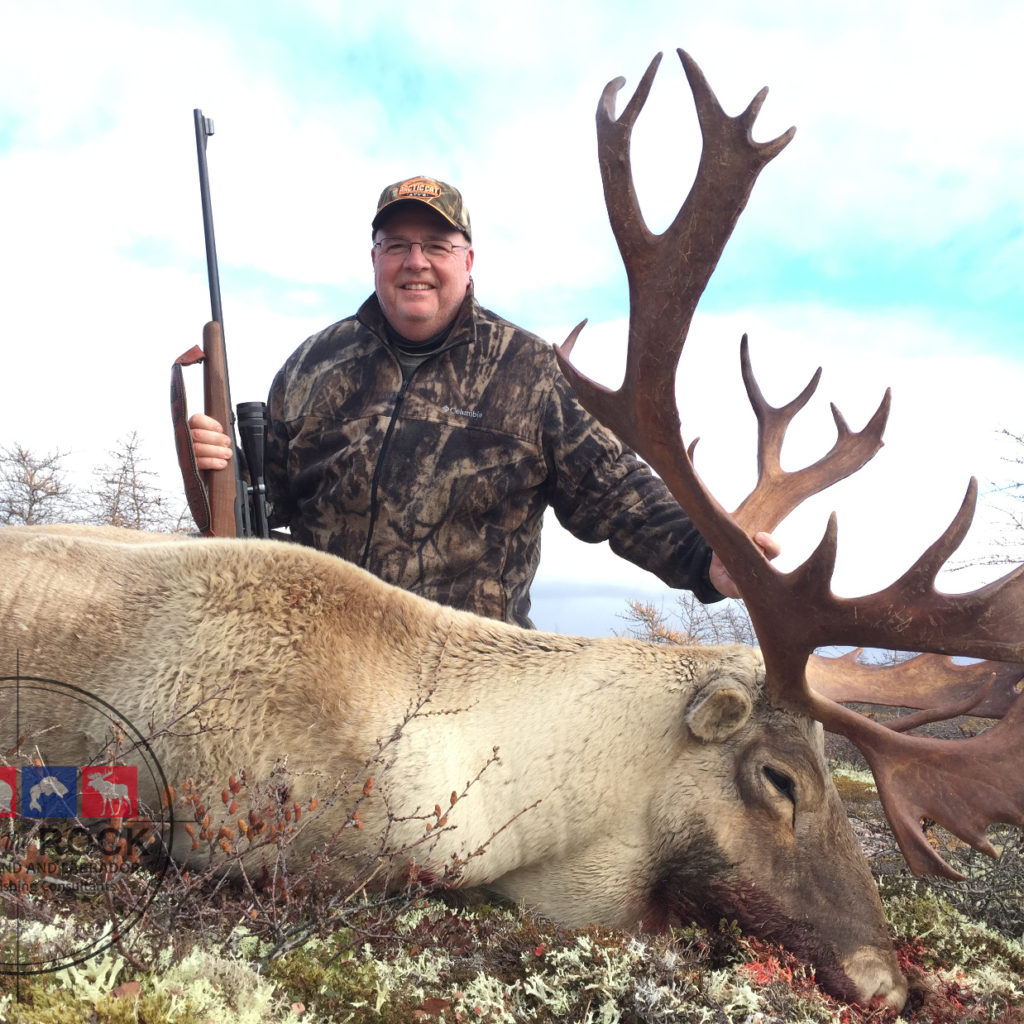 Newfoundland Caribou Hunting - Trophy Woodland Caribou