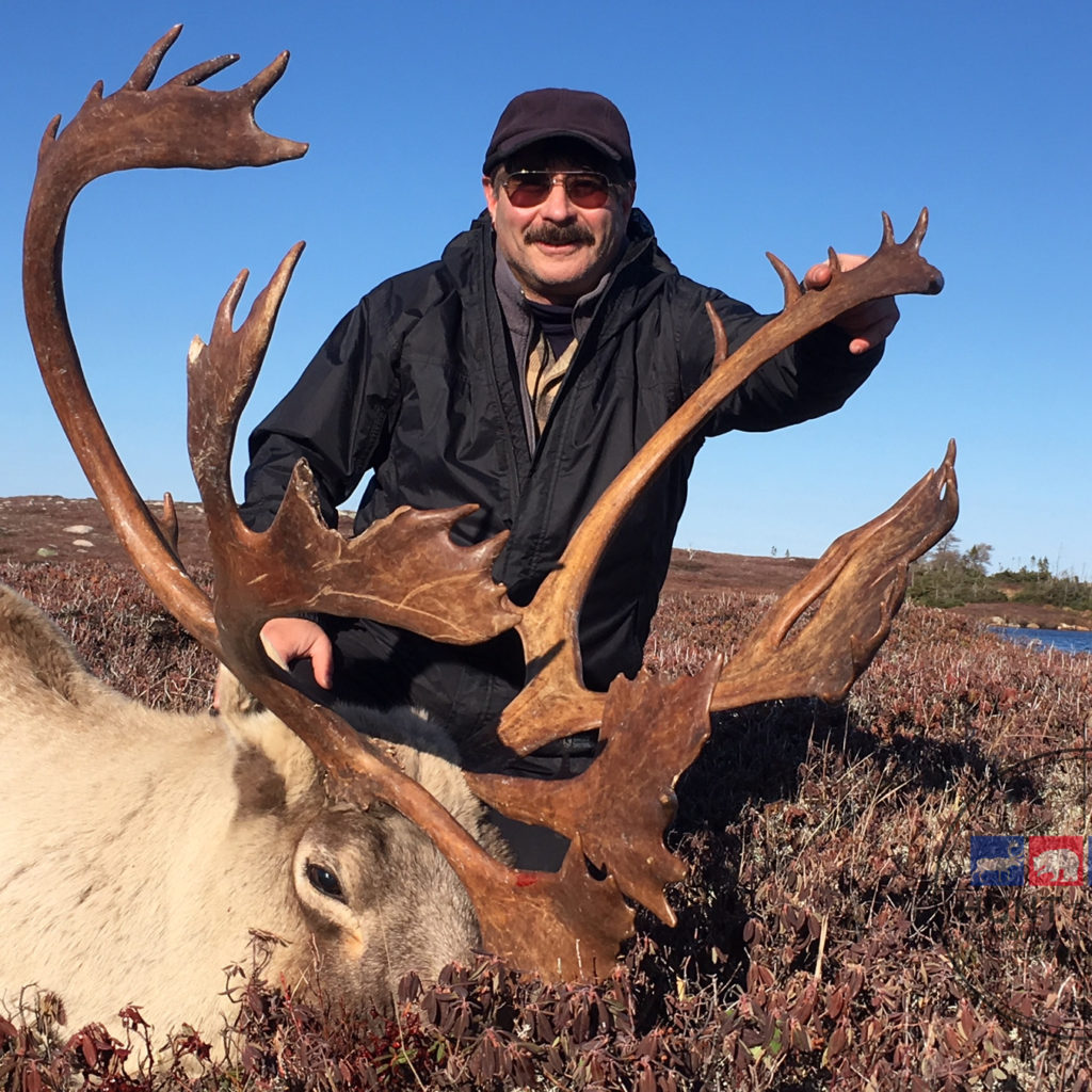 Newfoundland Caribou Hunting - Trophy Woodland Caribou