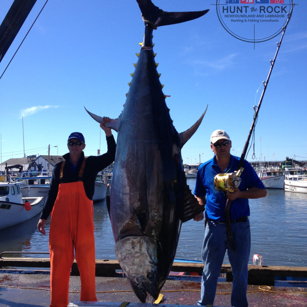 Trophy Tuna Fishing PEI