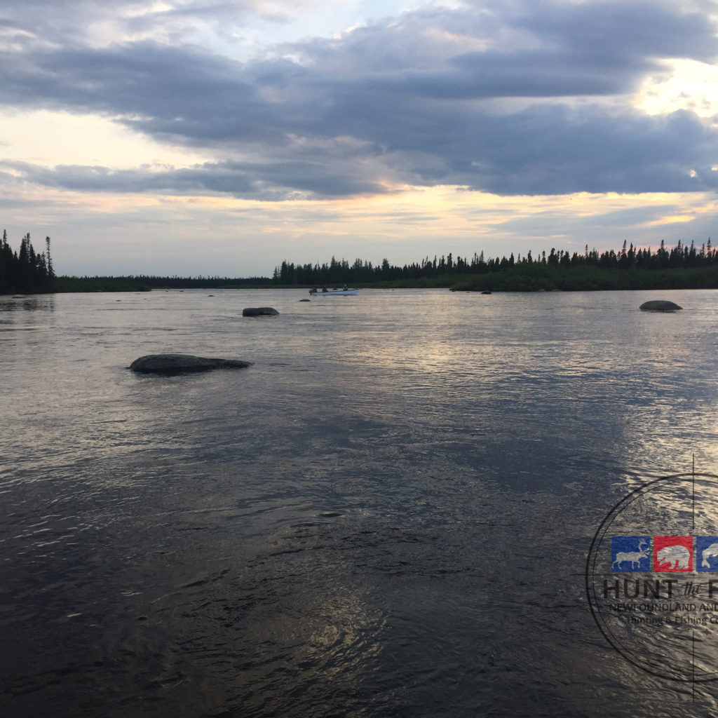 Eastern Brook Trout Fishing Newfoundland & Labrador