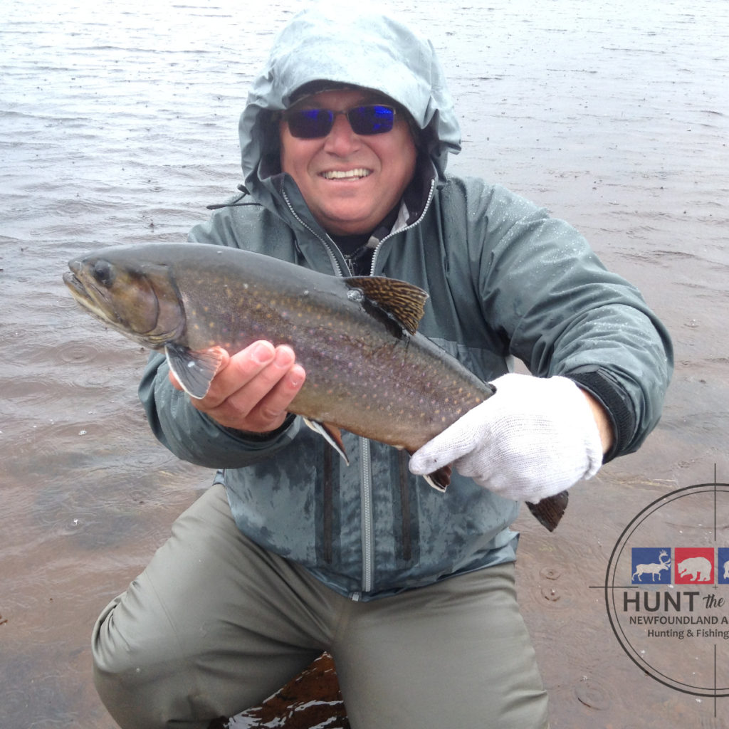 Eastern Brook Trout Fishing Newfoundland & Labrador