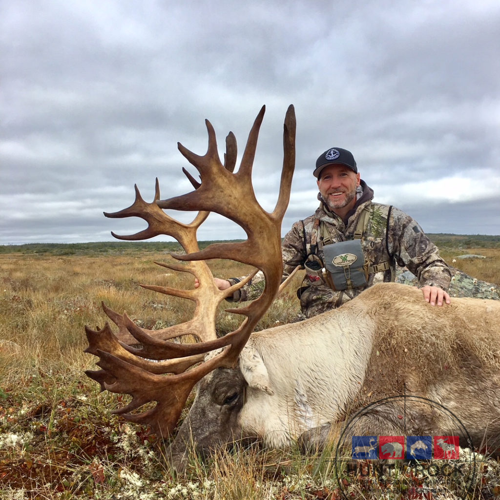 Newfoundland Caribou Hunting - Trophy Woodland Caribou