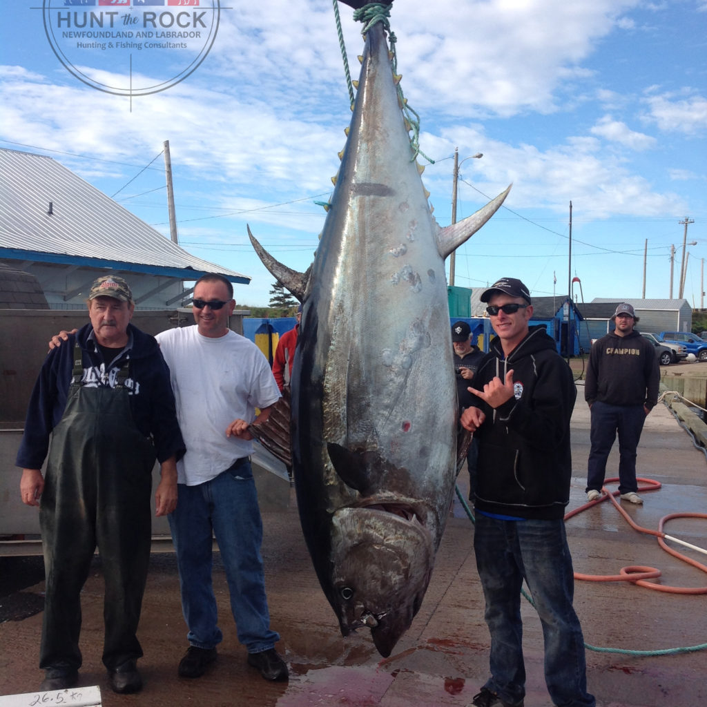 Trophy Tuna Fishing PEI