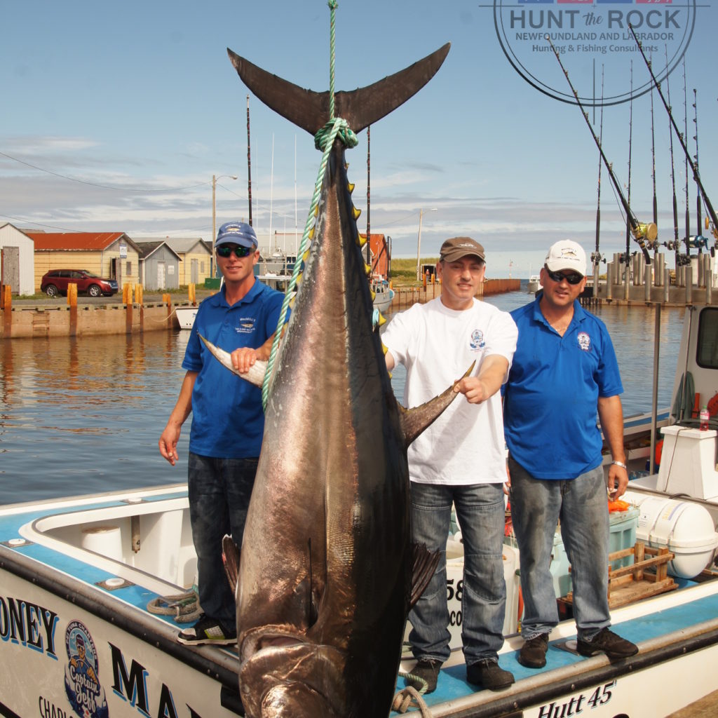 Trophy Tuna Fishing PEI