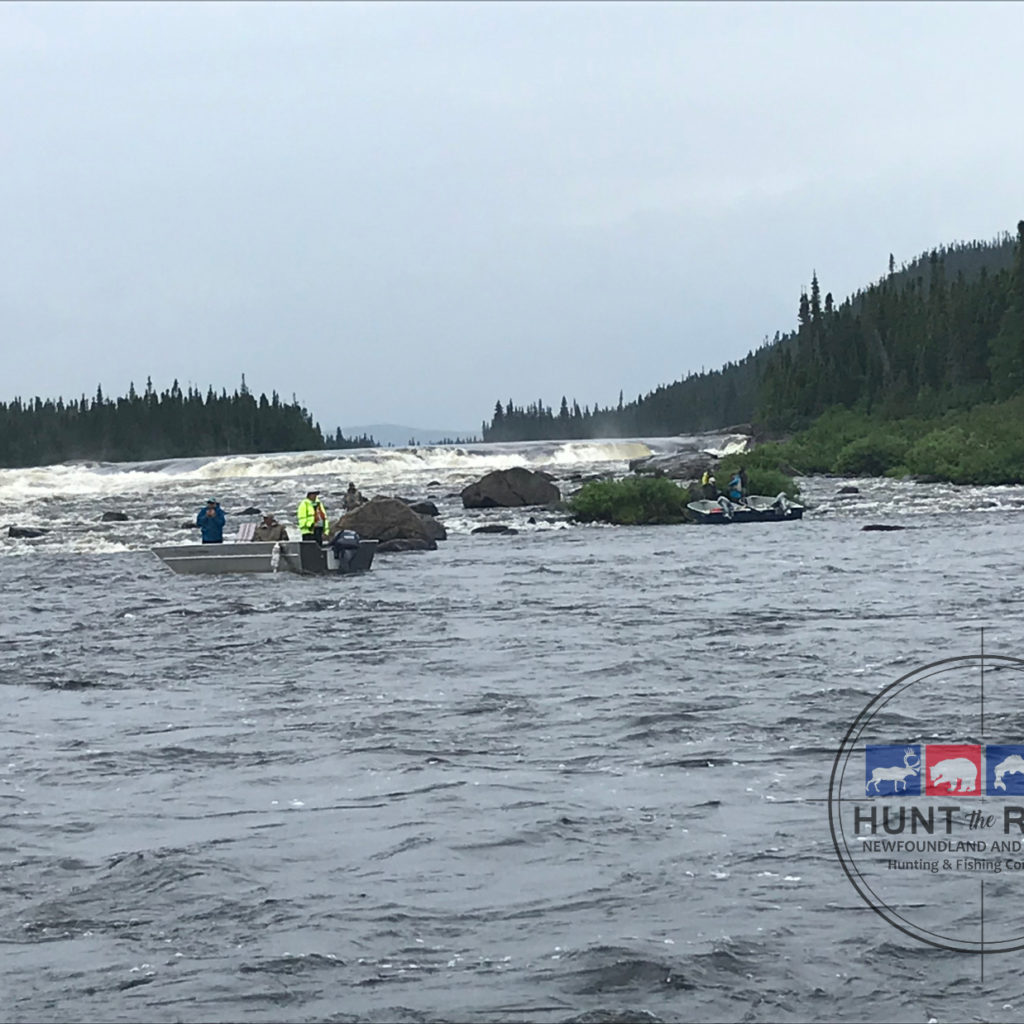 Atlantic Salmon Fishing Newfoundland & Labador