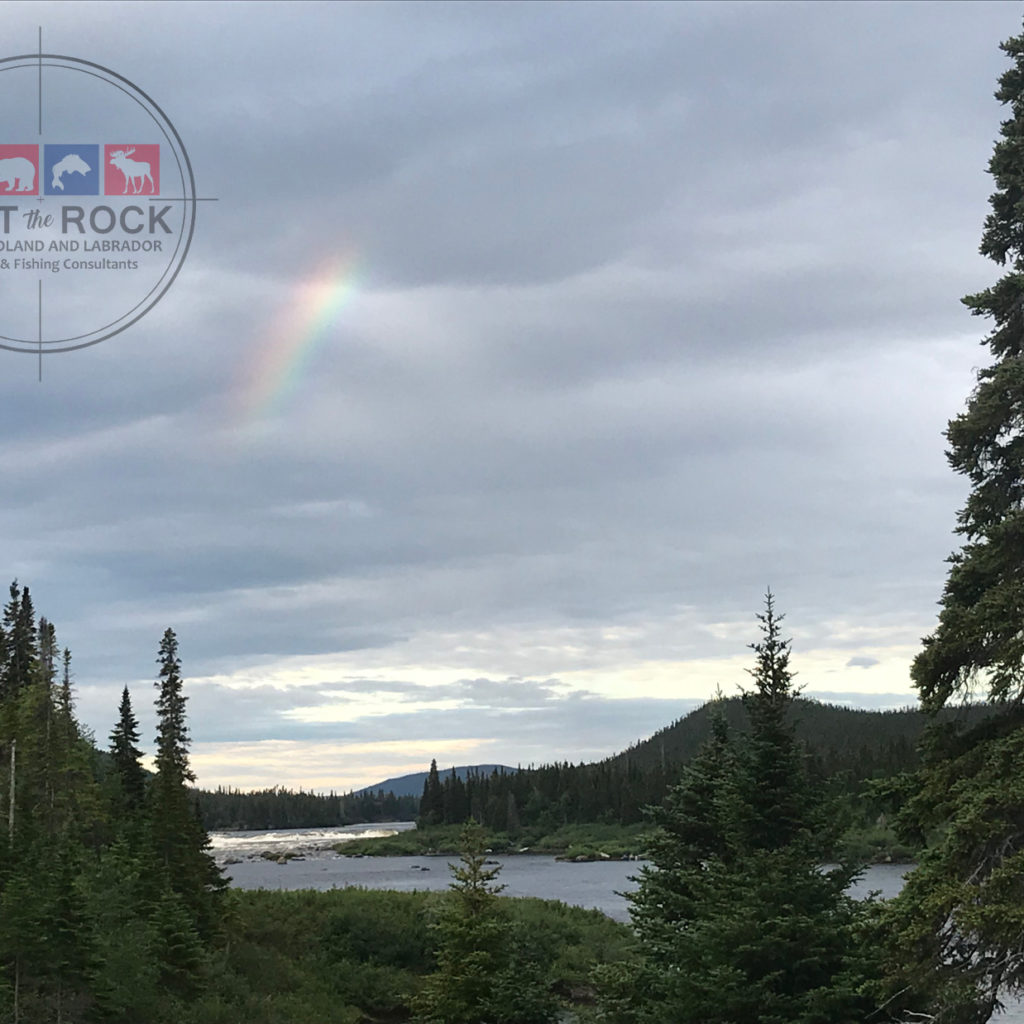 Atlantic Salmon Fishing Newfoundland & Labador