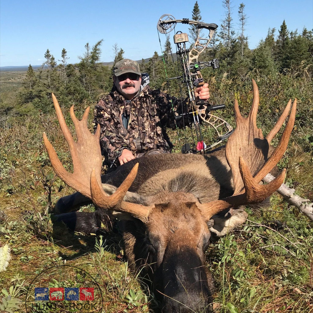 Newfoundland Moose Hunting Outfitter