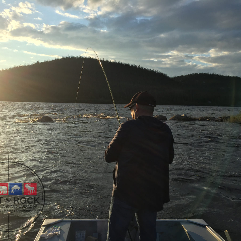 Atlantic Salmon Fishing Newfoundland & Labador