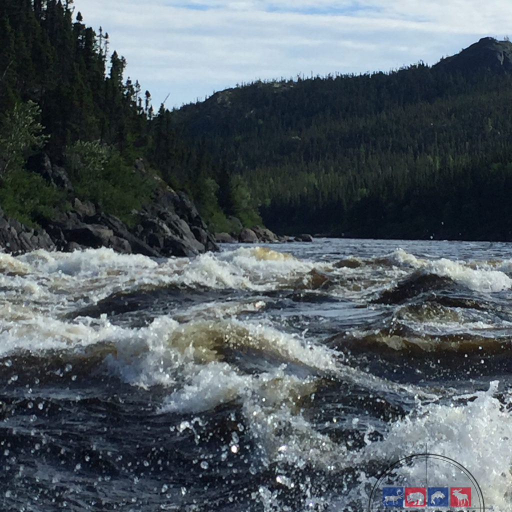 Atlantic Salmon Fishing Newfoundland & Labador