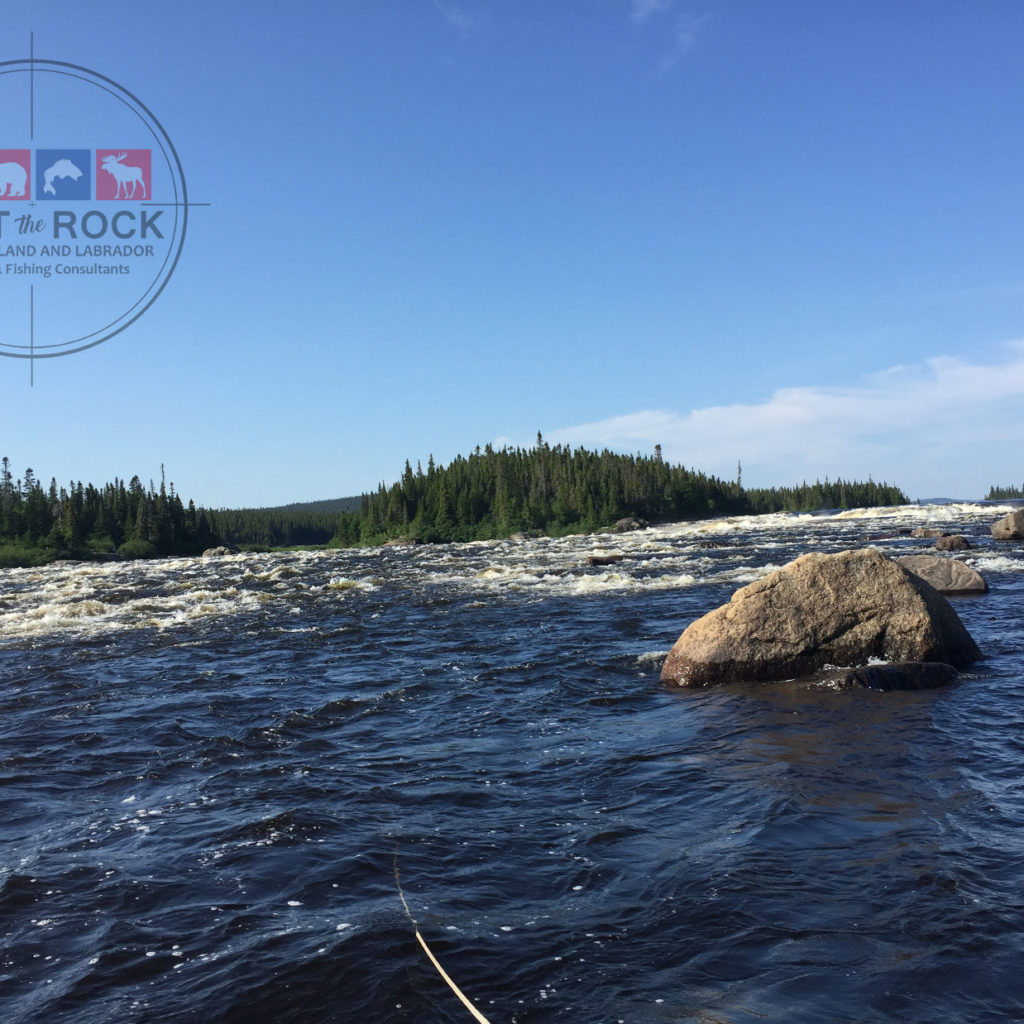 Atlantic Salmon Fishing Newfoundland & Labador