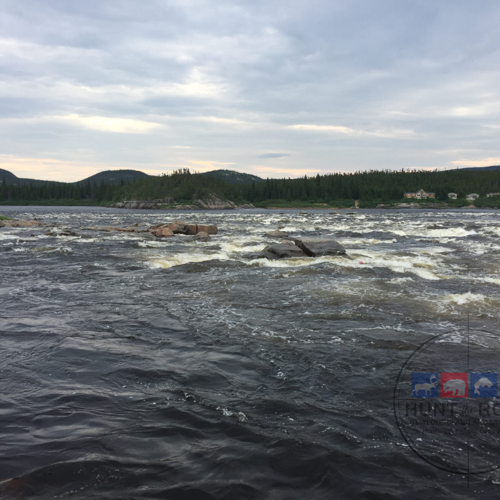 Atlantic Salmon Fishing Newfoundland & Labador