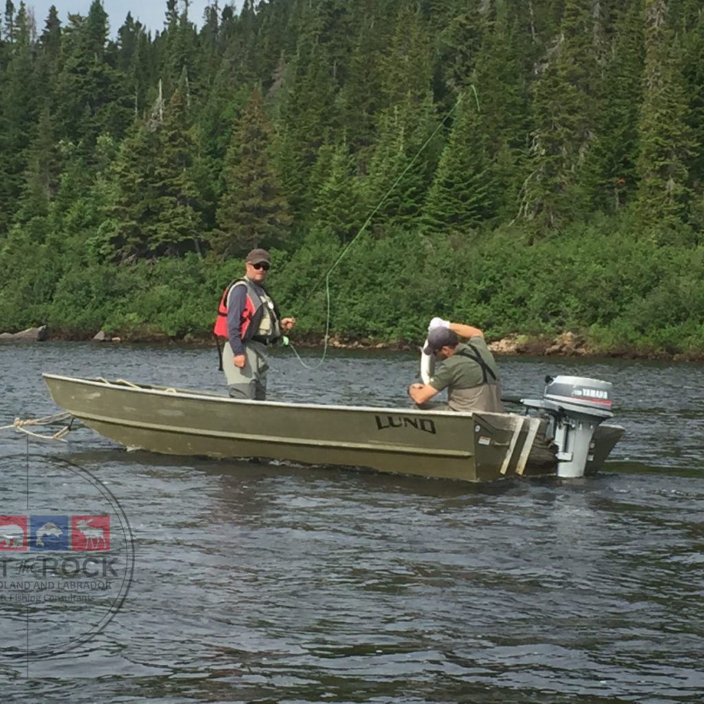 Atlantic Salmon Fishing Newfoundland & Labador