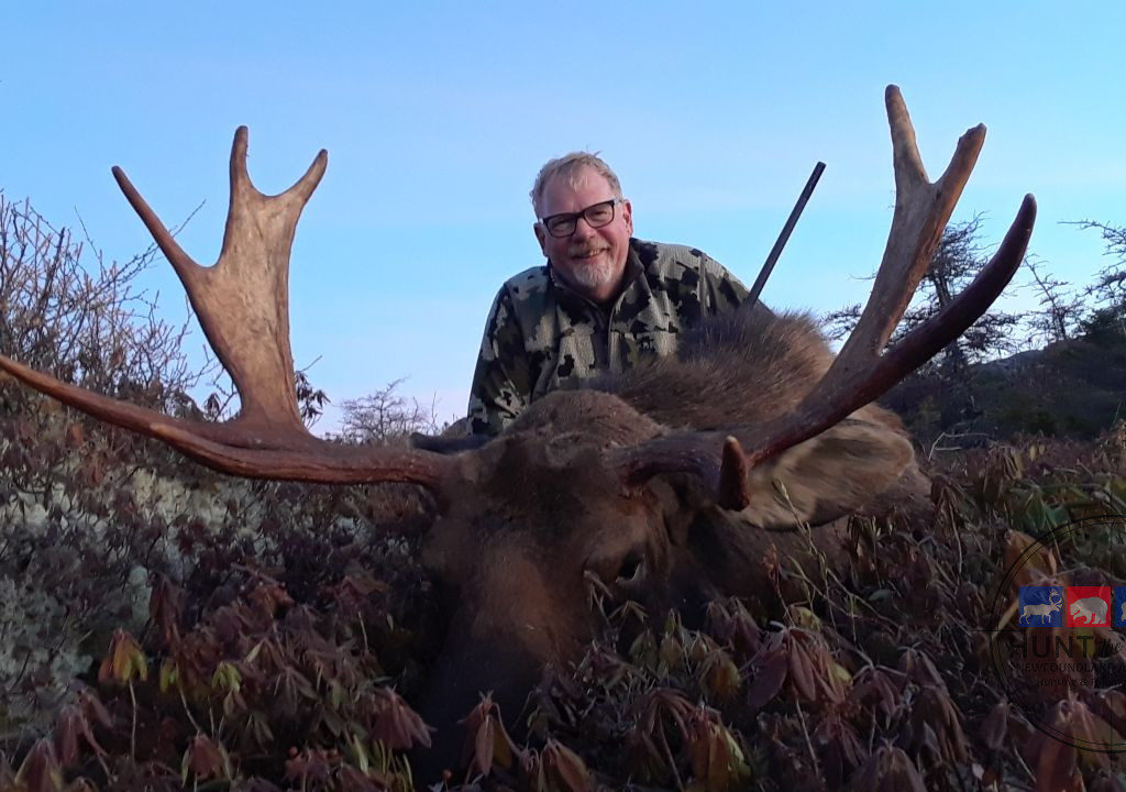 Newfoundland Moose Hunting Outfitter