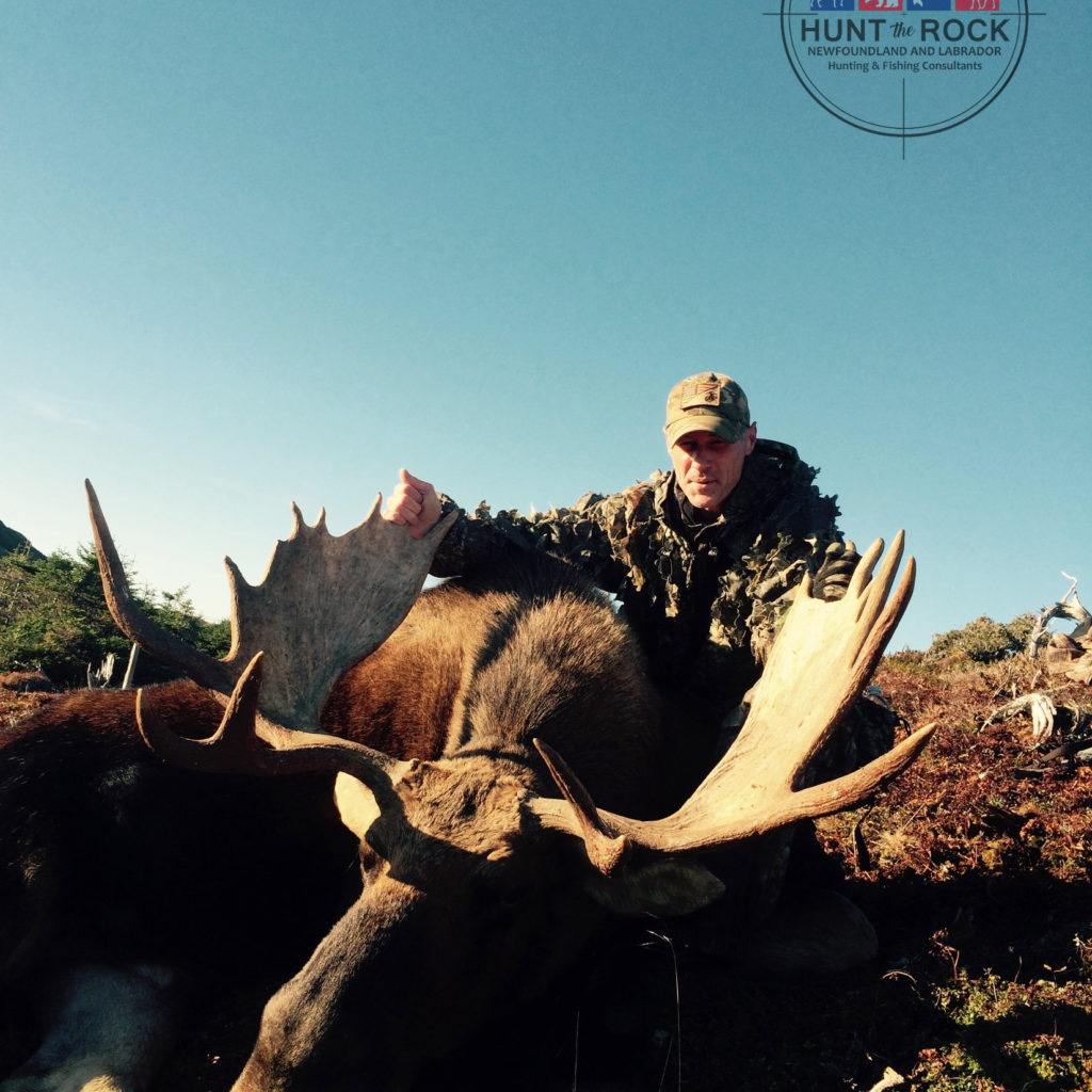 Newfoundland Moose Hunting Outfitter