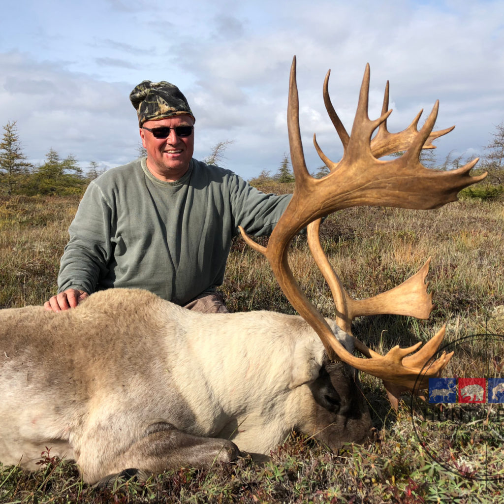 Newfoundland Caribou Hunting - Trophy Woodland Caribou