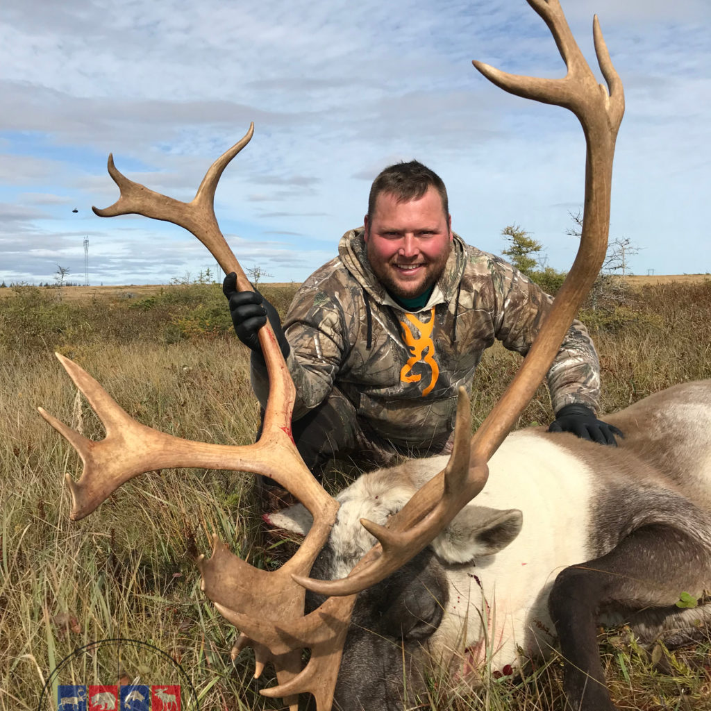 Newfoundland Caribou Hunting - Trophy Woodland Caribou