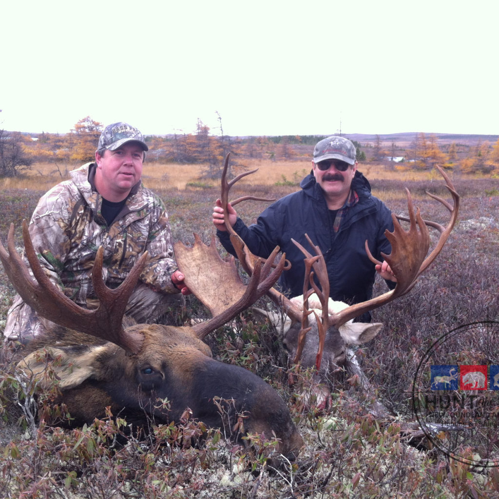 Newfoundland Moose Hunting Outfitter