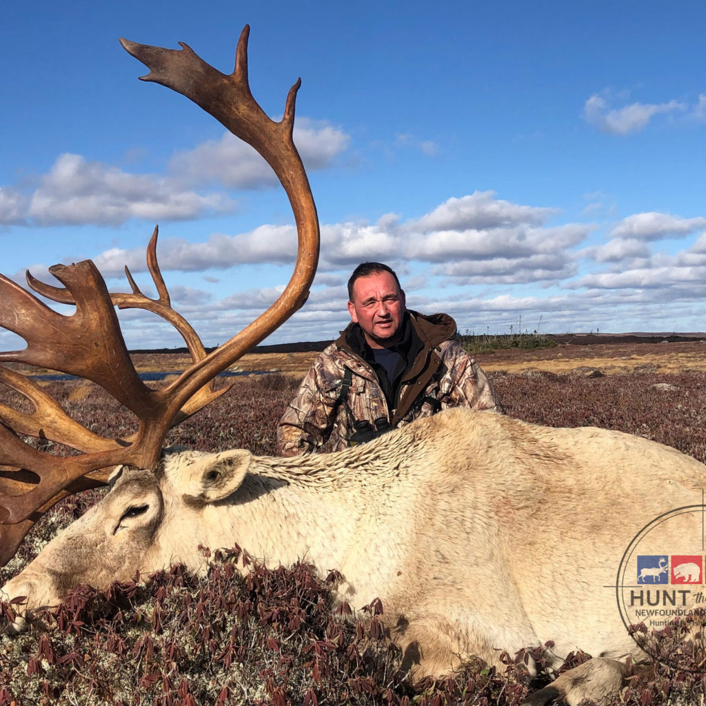 Newfoundland Caribou Hunting - Trophy Woodland Caribou